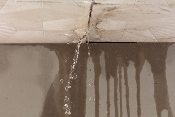 Professional Structural Drying technician working in Endicott, NY